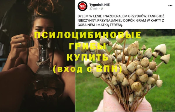 прущая мука Горнозаводск