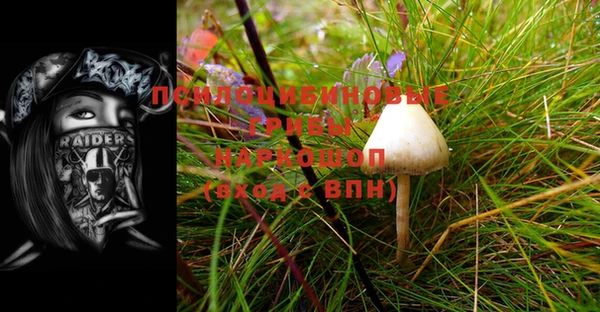 MESCALINE Горняк