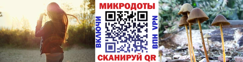 Галлюциногенные грибы ЛСД  сколько стоит  Черногорск 